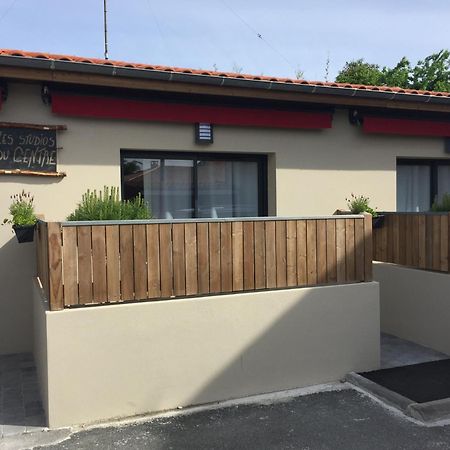 Les Studios Du Centre La Teste-de-Buch Buitenkant foto